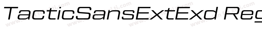 TacticSansExtExd Reg Regular字体转换
